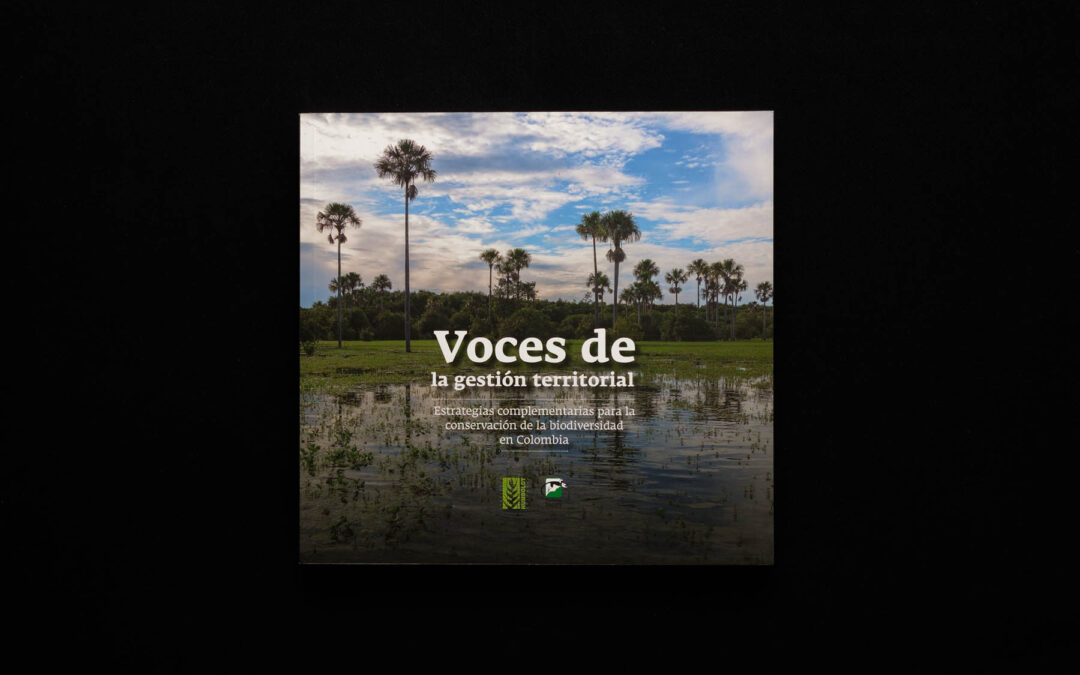 Voces de la gestión territorial
