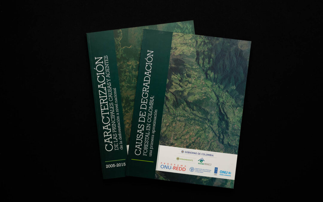 Deforestación