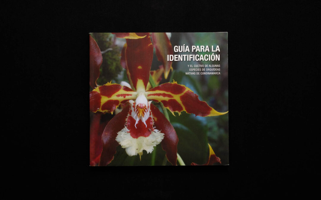 Orquídeas nativas de Cundinamarca