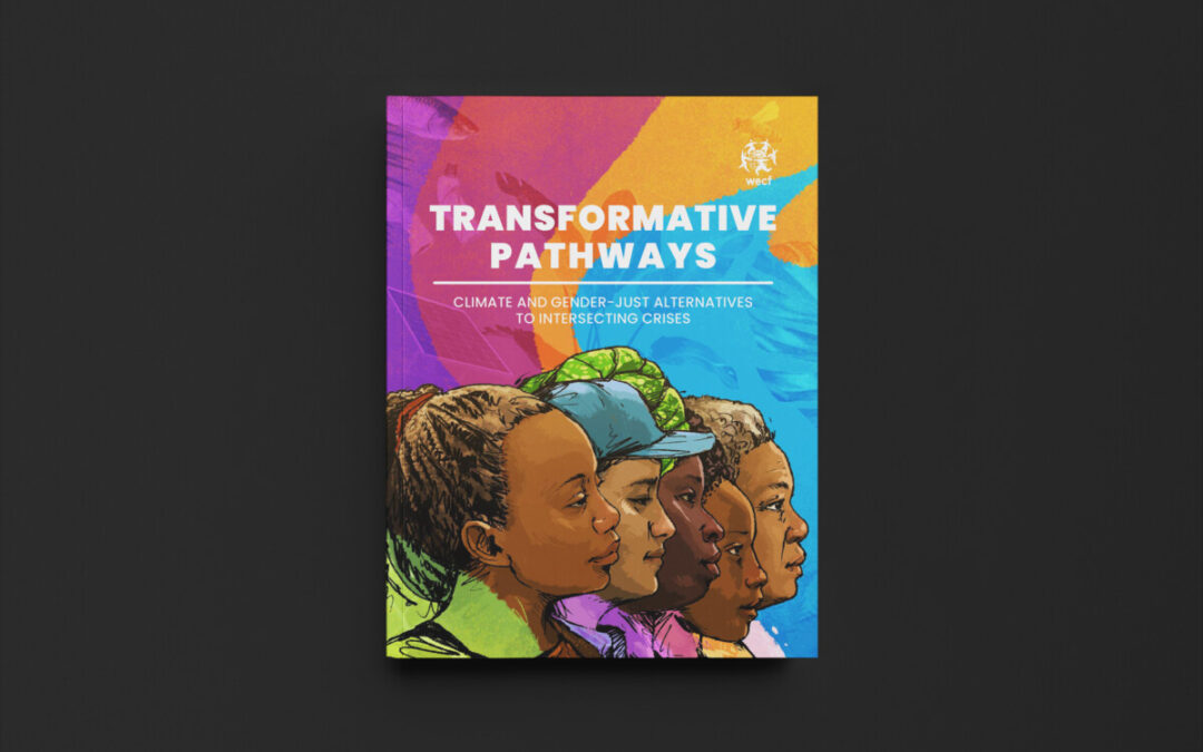 Transformative Pathways – WECF