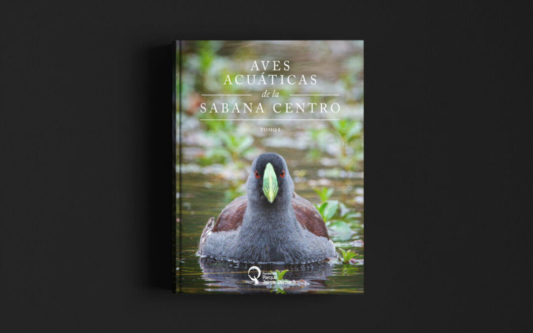 Aves acuáticas de la Sabana Centro